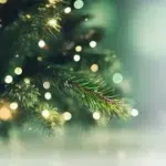 Christmas tree branches